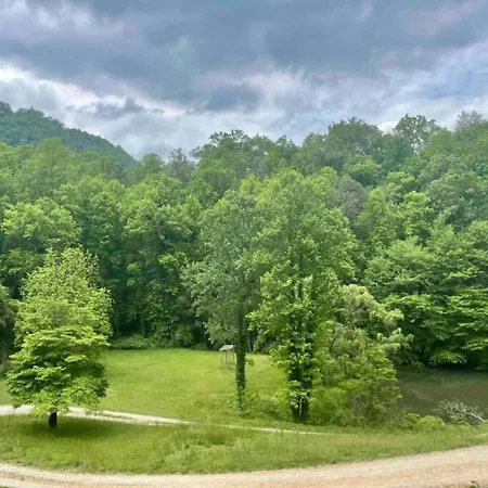 Lazy Bear Cabin Near Nantahala Outdoor Center And Bryson City Exterior photo