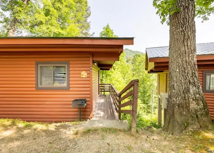 Lazy Bear Cabin Near Nantahala Outdoor Center And Bryson City