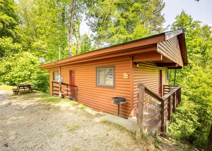 Lazy Bear Cabin Near Nantahala Outdoor Center And Bryson City