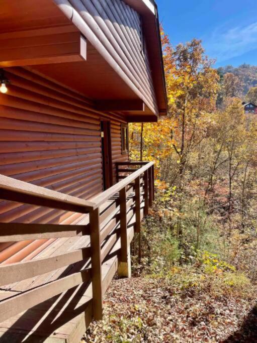 Lazy Bear Near Nantahala Outdoor Center And Bryson * Bryson City