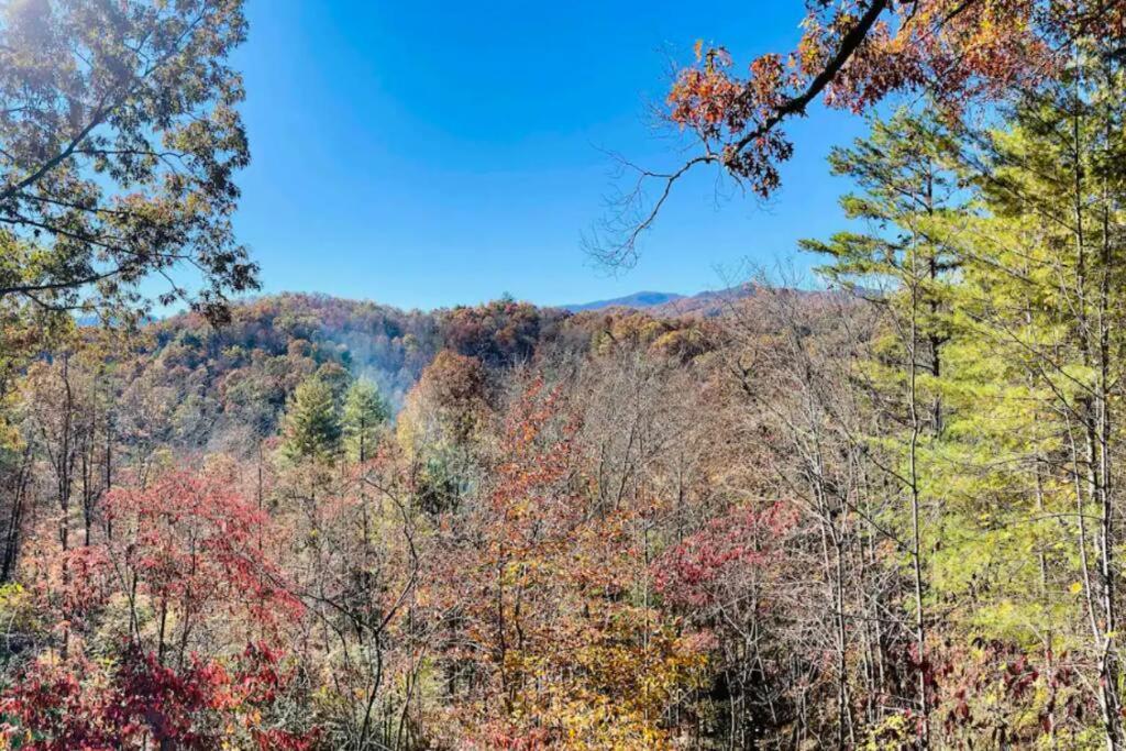 Holiday home Lazy Bear Near Nantahala Outdoor Center And Bryson *