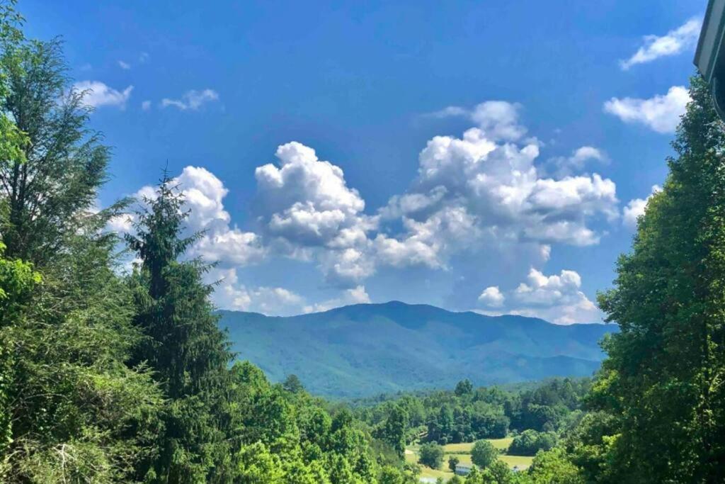 Lazy Bear Near Nantahala Outdoor Center And Bryson